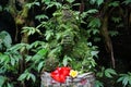 Big old statue of Ganesha covered with green moss, Ubud, Bali Royalty Free Stock Photo