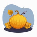 Big orange pumpkin, autamn composition Royalty Free Stock Photo