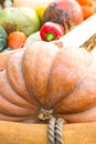 Big orange pumpkin stands on blurry background of vegetables and paprika pepper Royalty Free Stock Photo