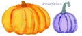 Big orange pumpkin and violet pumpkin. Halloween. Holiday in october. Watercolor hand painted elements.