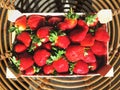 Big organic red ripe strawberry's in a strawberry box Royalty Free Stock Photo