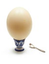 Big ostrich egg Royalty Free Stock Photo