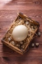 Big ostrich egg on straw surround by quail eggs, copyspace Royalty Free Stock Photo