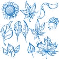 Big outline set of leaves. Labels for design autumn party and various items