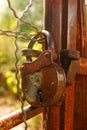 Big padlock closing the door Royalty Free Stock Photo