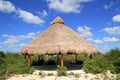 Big Palapa hut sunroof in Mexico jungle