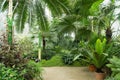 Big palm greenhouse