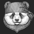 Big panda, bamboo bear portrait. Bandana. Biker, pirate. Face of cute animal. Bear head.