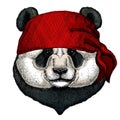 Big panda, bamboo bear portrait. Face of cute animal. Bear head. Bandana. Pirate. Motorcycle.