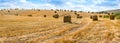 Big panorama of straw bales hay in the stubble field Royalty Free Stock Photo