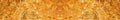 Panoramic picture. Closeup of twinkle golden christmas texture for your background