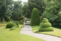 Big park with trees and buxus plants