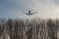 Big passenger airlplane flying low over forest trees against clear blue sky during sunset. Landing or take off. Bottom view. Copys Royalty Free Stock Photo