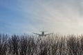 Big passenger airplane flying low over forest trees against clear blue sky during sunset. Landing or take off. Bottom tail view. C Royalty Free Stock Photo