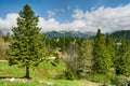 Big Pasture Plateau in the Kamnik Alps, Slovenia. Mountain cottage hut or house on green hill. Alpine meadow landscape. Farm