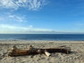 Big piece of driftwood on the beach Royalty Free Stock Photo