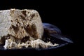 Big piece of sunflower and sesame halva on wooden table