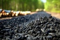 A big pile biochar in a garden. Biochar increases soil carbon to improve agricultural productivity and soil fertility