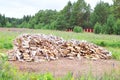 Big pile of birch wood in clearing surrounded by fence Royalty Free Stock Photo