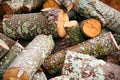 Big pile of firewood. Big pile of firewood for fireplace. sawn tree trunks red aspen and birch, piled in a heap Royalty Free Stock Photo