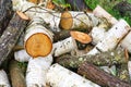 Big pile of firewood. Big pile of firewood for fireplace. sawn tree trunks red aspen and birch, piled in a heap Royalty Free Stock Photo