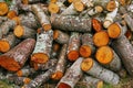 Big pile of firewood. Big pile of firewood for fireplace. sawn tree trunks red aspen piled in a heap Royalty Free Stock Photo