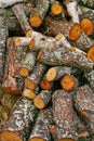 Big pile of firewood. Big pile of firewood for fireplace. sawn tree trunks red aspen piled in a heap Royalty Free Stock Photo