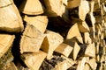 Big pile of firewood Royalty Free Stock Photo