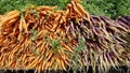 Big pile of fresh organic carrots at a summer farmers market in New York City