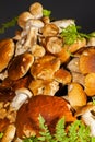 Big pile of fresh porcini mushrooms before cooking Royalty Free Stock Photo