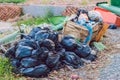 Big pile of garbage and waiste in black bags Royalty Free Stock Photo