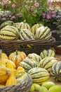 Big pile of green striped pumpkins at a farmers market, vegetables autumn harvest festival