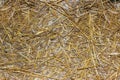 a big pile of old yellow hay straws on the ground Hay. Hay Bails. Seamless texture hay, straw. Hay Background. Straw Royalty Free Stock Photo