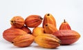 Big pile of orange color cacao pods Royalty Free Stock Photo