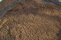 Big pile of sand is close Royalty Free Stock Photo
