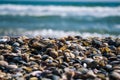 Big pile with small shells on the beach. Mixed colorful seashells on the seashore. Many different seashells piled