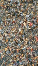 Big pile with small shells and other sea life on the beach for background and wallpaper. Mixed colorful seashells on seashore.