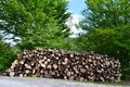 Big pile of wooden logs posed along the road in a countryside in a sunny summer day. Royalty Free Stock Photo