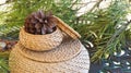 Two natural color baskets green pine tree branches on background