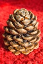 Big pine cone on the red fabric