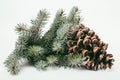 Big pine tree cone like decoration to holiday card Royalty Free Stock Photo