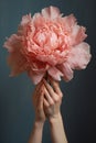 Big pink peony in female hands. Y Tender soft image. Spring aesthetics. Vertical. Generative ai