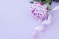 Big pink peony and swirling ribbon at upper corner of image on light pink background. Lots of copy space for text.