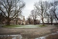 Big plane tree in Dresden, Saxony, Germany Royalty Free Stock Photo