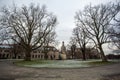 Big plane tree in Dresden, Saxony, Germany Royalty Free Stock Photo