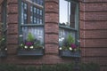 Big planters with various plants set against brick wall with windows