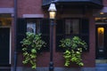 Big planters with various plants set against brick wall with windows and shutters Royalty Free Stock Photo