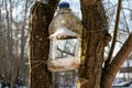 Plastic bottle used as feeder for birds in winter Royalty Free Stock Photo