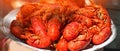 Big plate of tasty boiled crawfish closeup, seafood