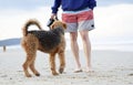Big playful dog playing with his man owner on stunning Australian beach Royalty Free Stock Photo